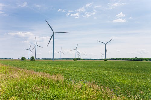 Immagine gratuita di campo d'erba, turbine eoliche