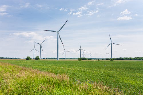 Wind Turbines on Green Grass Field Under Blue Sky
