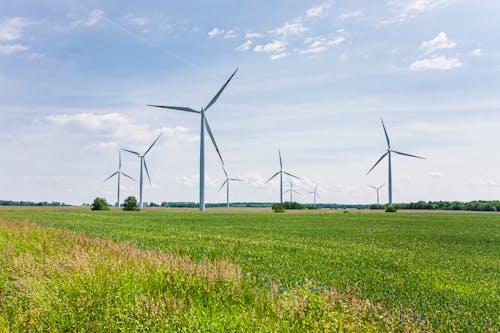 Immagine gratuita di alimentazione elettrica, campo d'erba, elettricità