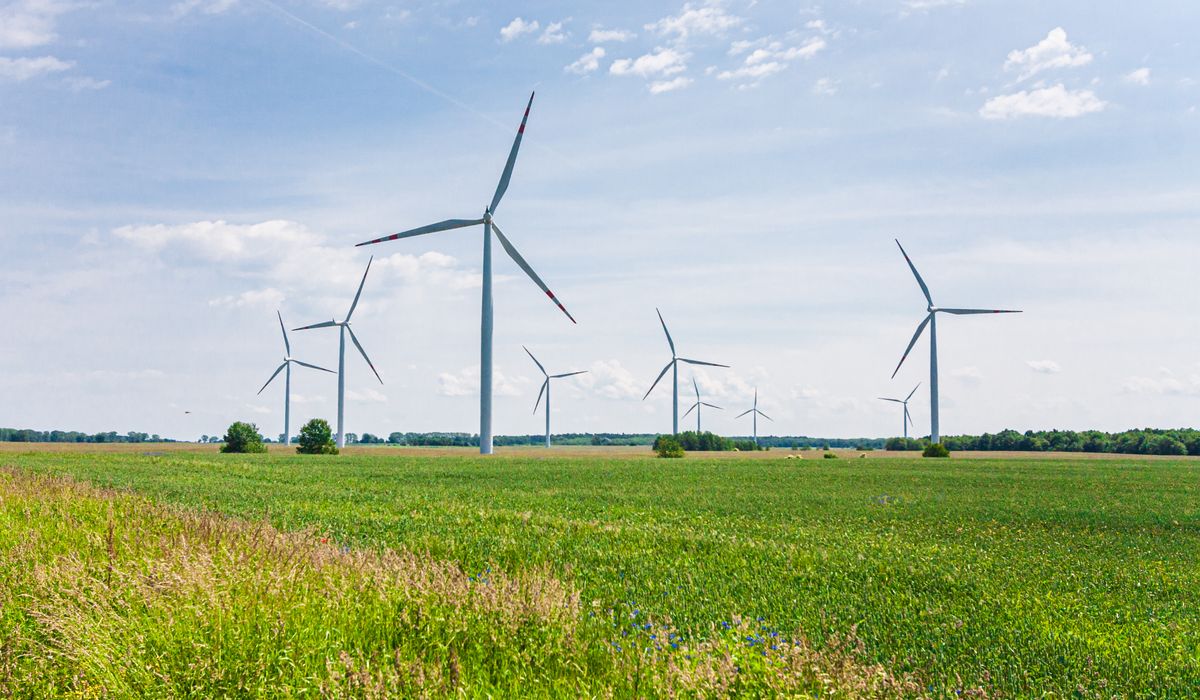 China fija meta de reducir 17% la intensidad de carbono a 2030 en su nuevo plan climático