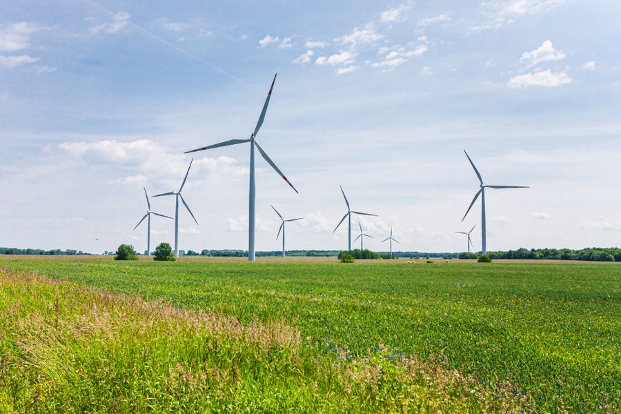 Wind turbines above a green meadow, photo by gervee on Pexels