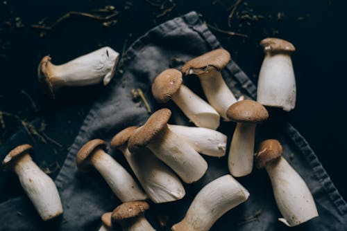 White and Brown Mushrooms on Black Surface