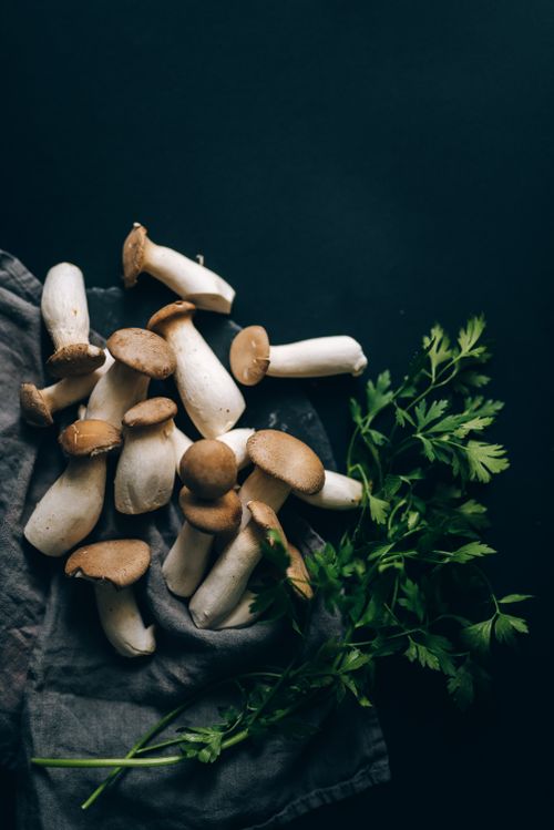 Free Close-up of fresh king oyster mushrooms and herbs on a dark background. Stock Photo