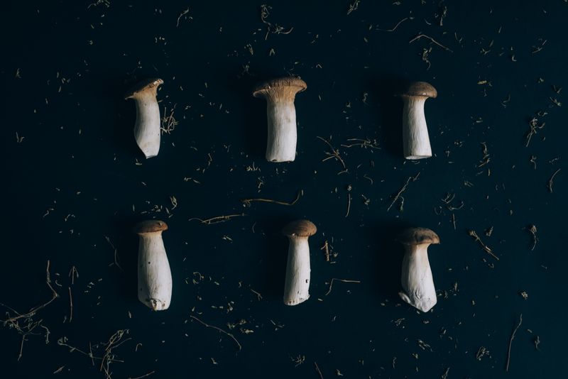 Six king oyster mushrooms on a dark background with scattered soil, close-up.