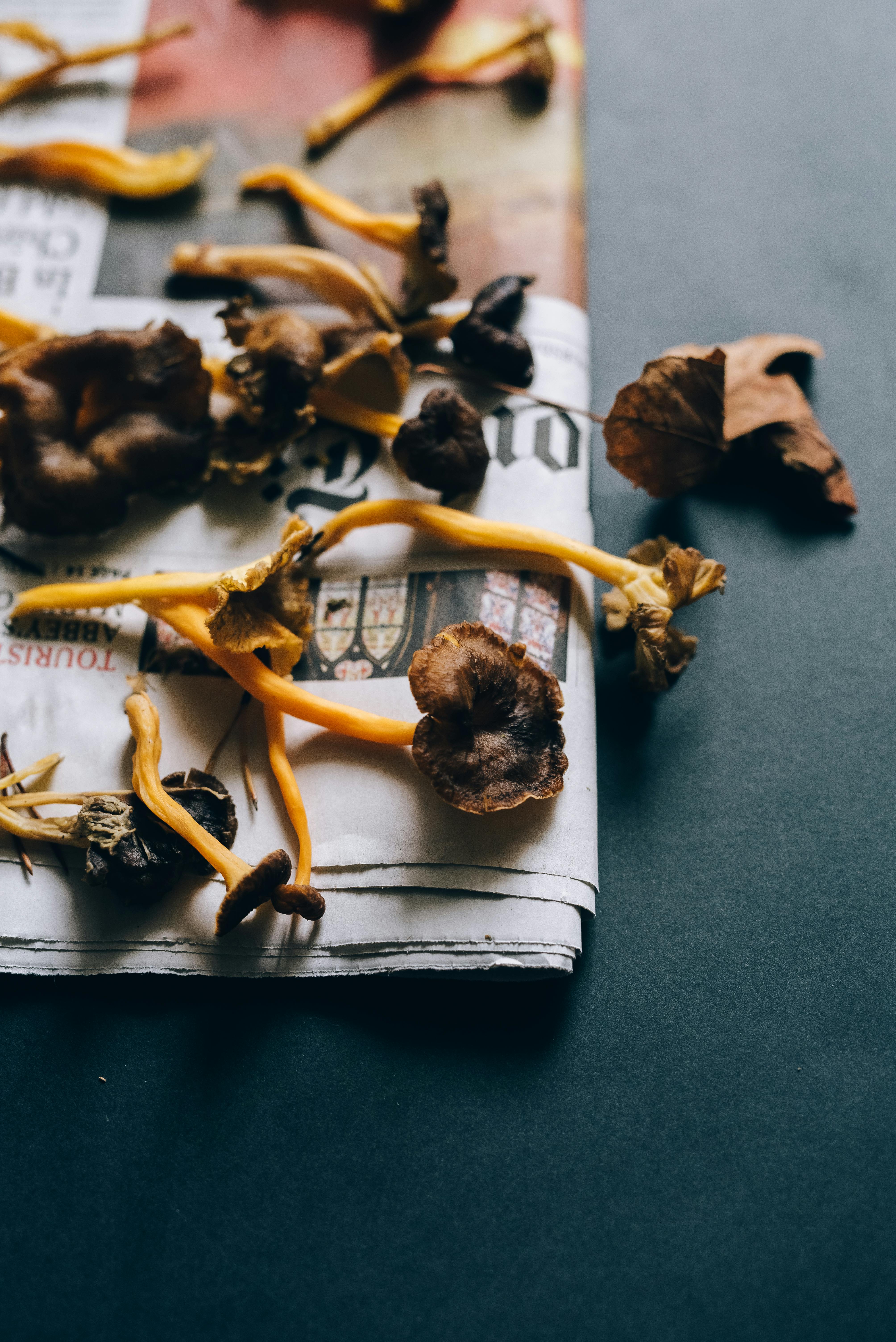 高角度镜头拍摄散落在报纸上的干鸡油菌蘑菇