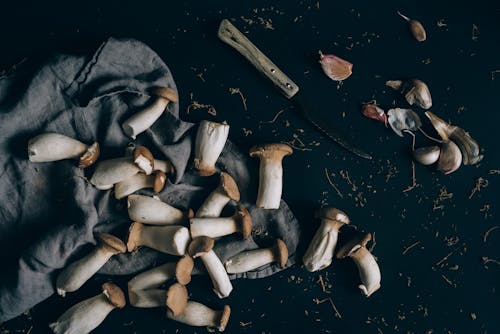 Mushrooms on a Counter Top