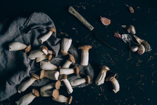 Mushrooms and garlic on a dark surface