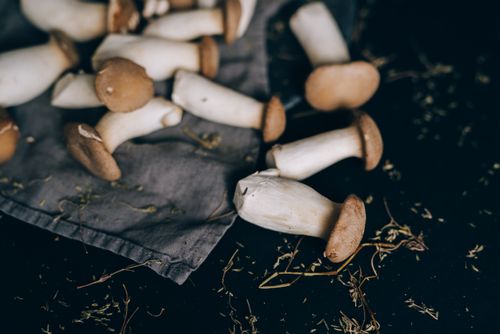 Free Close-up of king oyster mushrooms scattered on a rustic cloth, showcasing texture and natural tones. Stock Photo