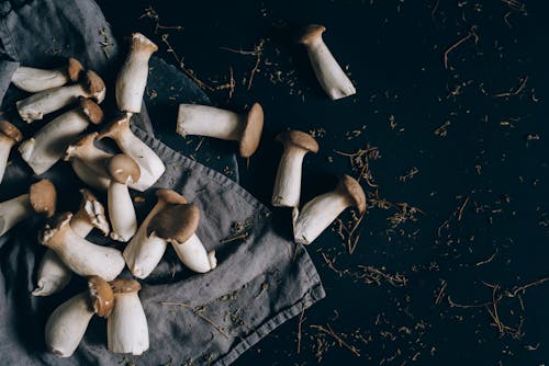 A Close-Up Shot of Mushrooms