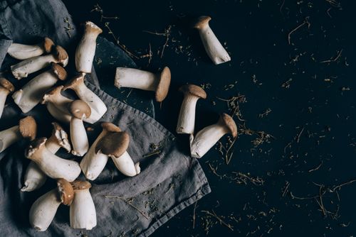 King oyster mushrooms seen from above