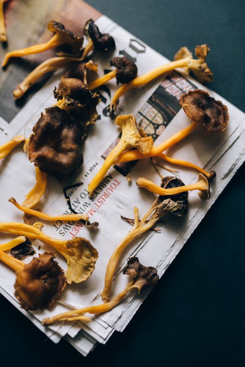 Dried Mushrooms on Newspaper