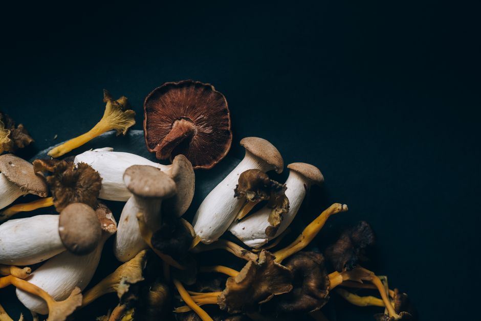 Mushroom-derived ingredients used in natural brightening skincare - kojic acid face cream Mushroom-derived ingredients used in natural brightening skincare - kojic acid face cream