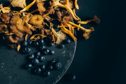 A flat lay of dried mushrooms and fresh blueberries on a dark, textured surface.