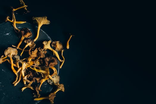 Artistic flat lay of dried chanterelle mushrooms on a black surface, providing a minimalist and earthy vibe.