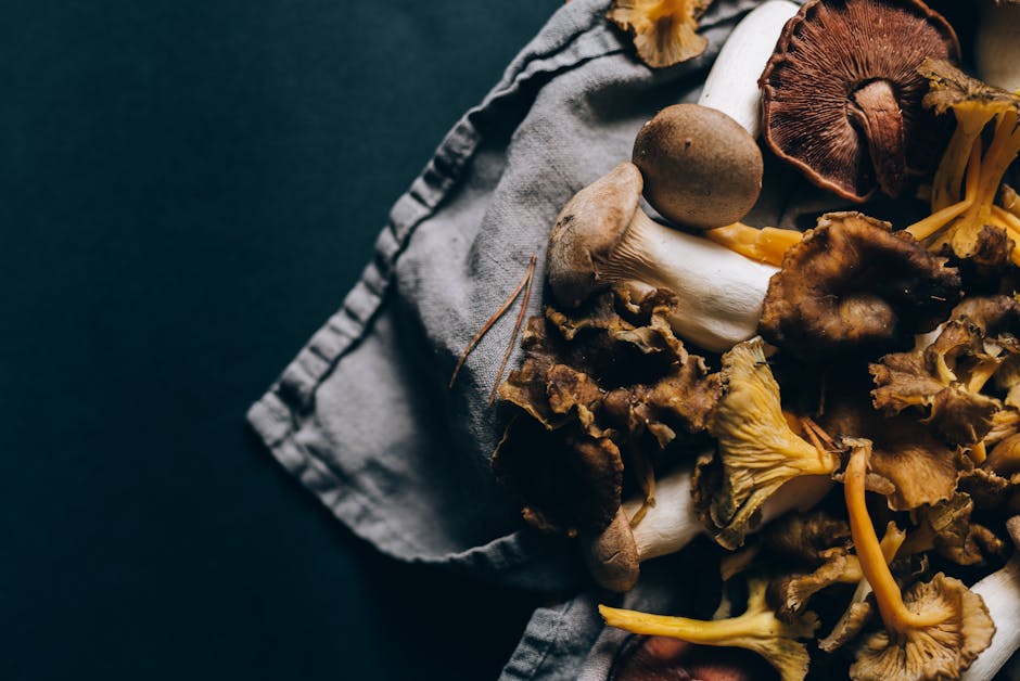 Nutrient-packed dried mushrooms - dried mushrooms