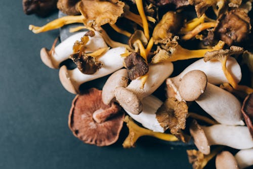 Brown Mushrooms on Black Surface