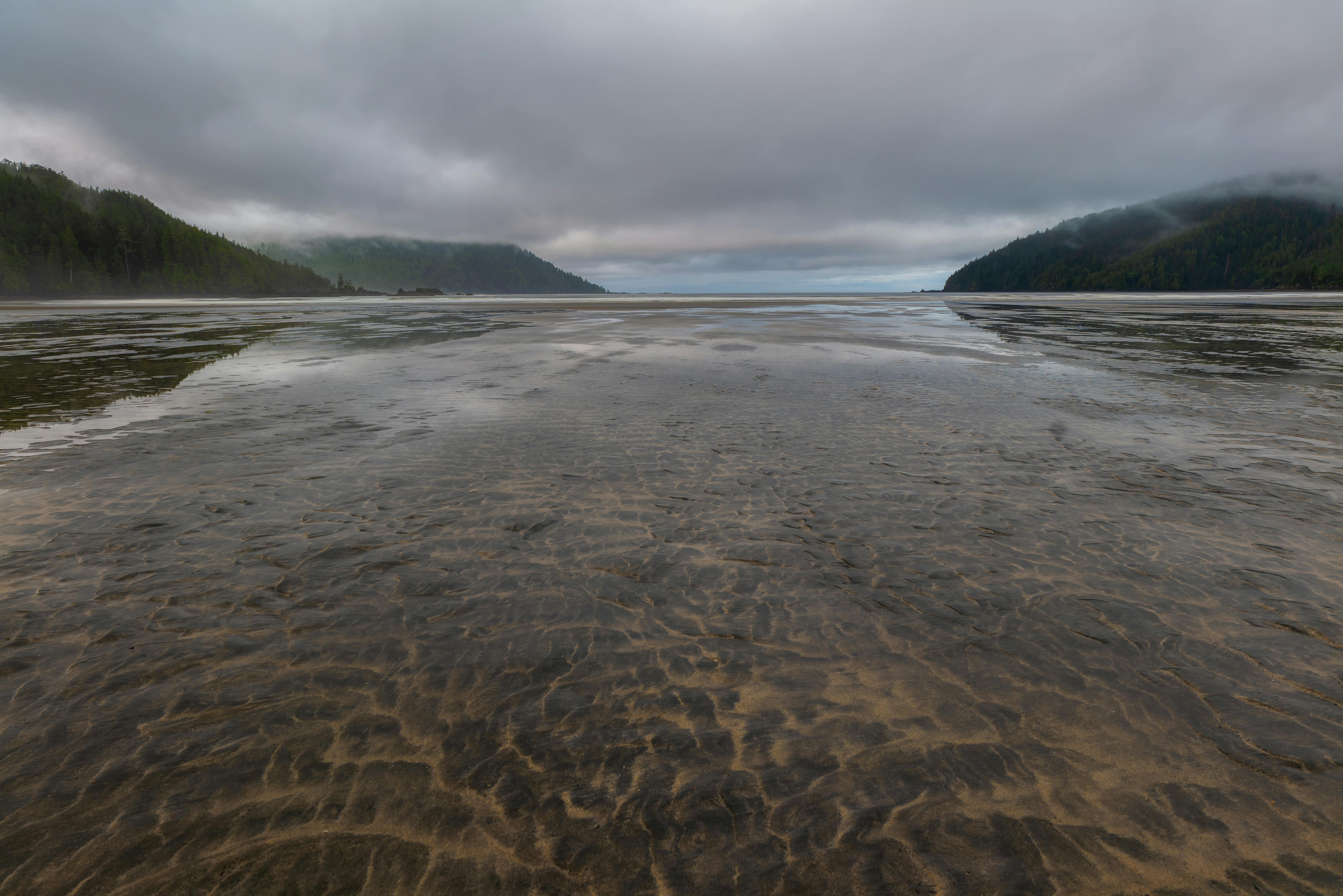 Calm waters and lush green hills at San Josef Bay, BC, Canada during evening.