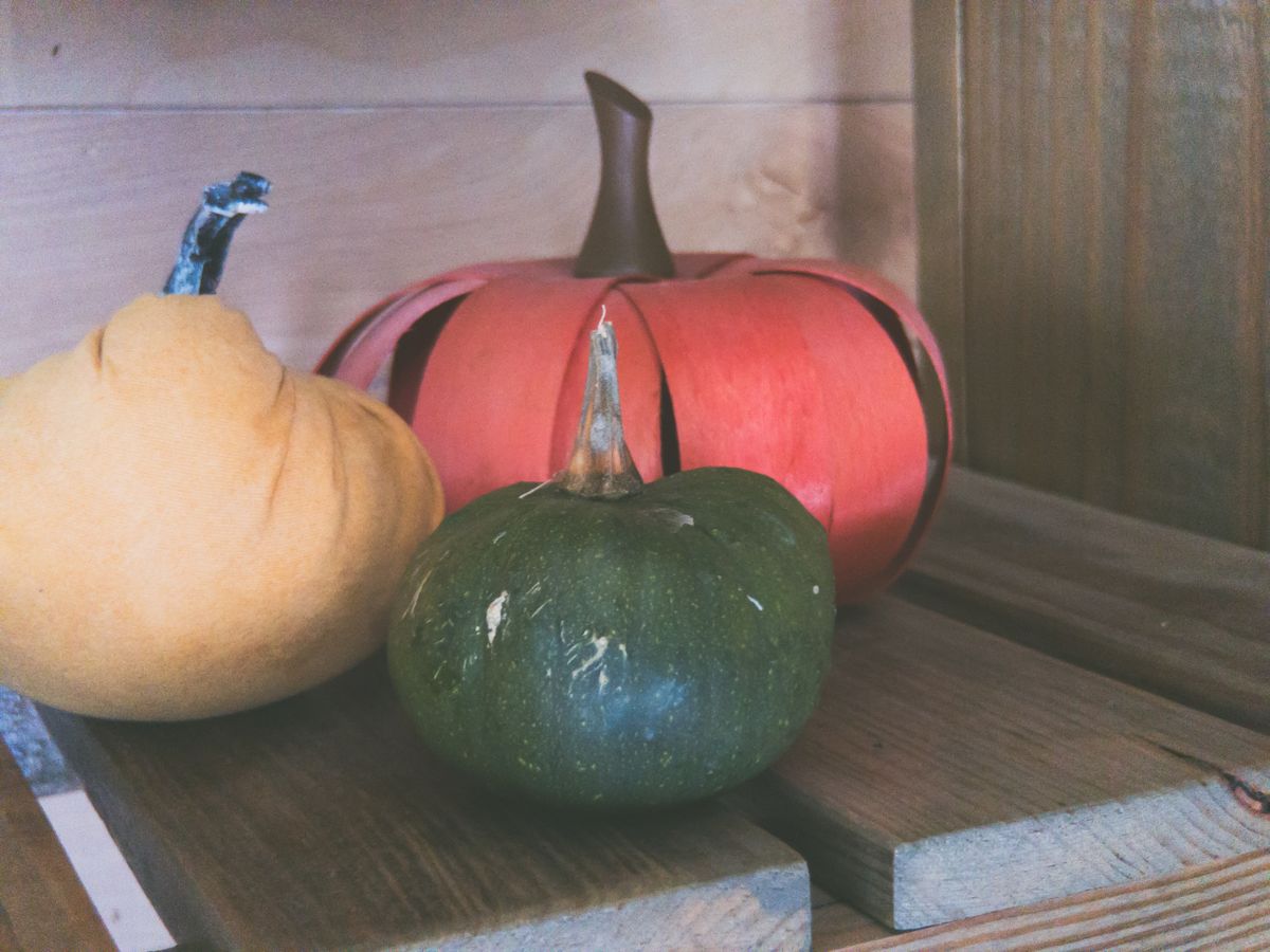 Close-up of colorful decorative pumpkins in various sizes on a wooden shelf. Stock Photo.