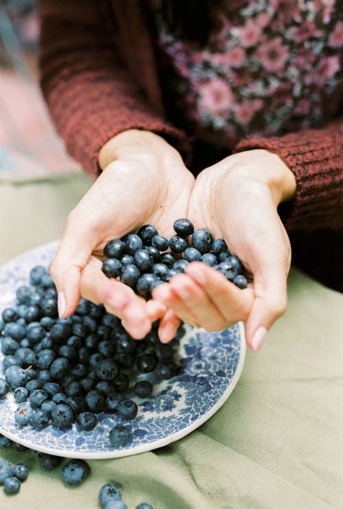 A Handful of Blueberries in Close-Up Photography