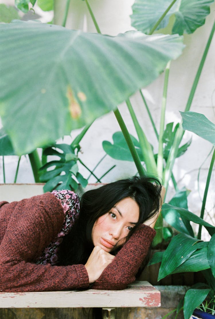 Photo Of A Woman Lying Near Green Leaves