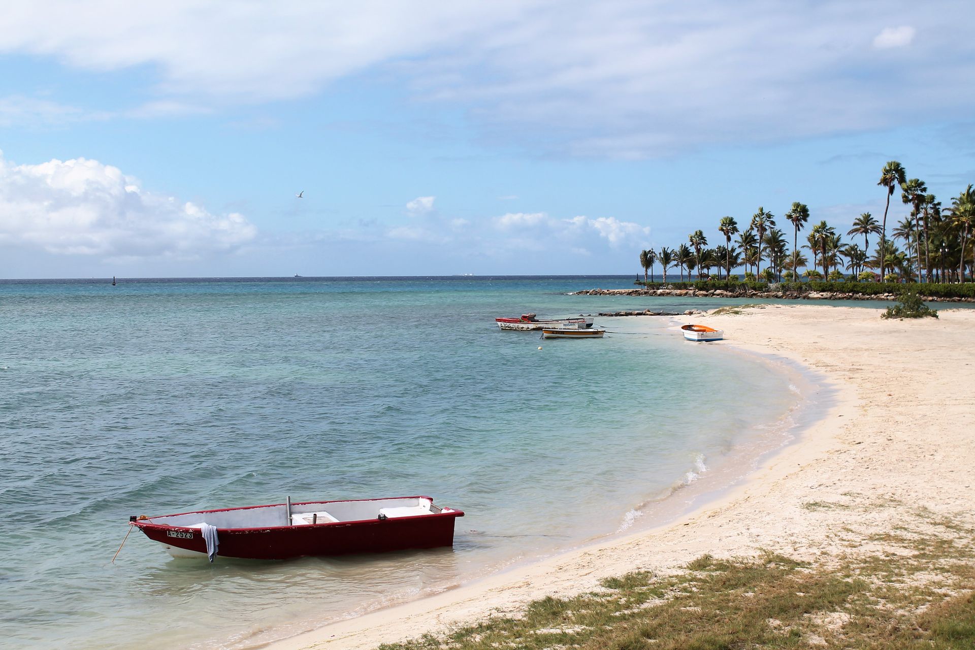 Idyllic beach scene in Aruba with clear waters, boats, and palm trees under a bright sky.