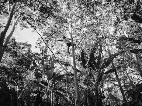 Man climbing a tree in a black and white Brazilian forest scene.