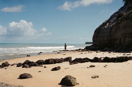 Ücretsiz deniz, deniz kıyısı, kayalar içeren Ücretsiz stok fotoğraf Stok Fotoğraflar