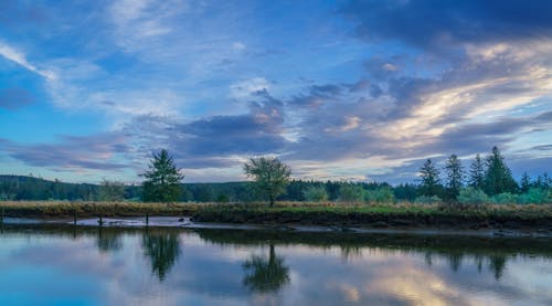 Free Gratis lagerfoto af dam, himmel, landskab Stock Photo
