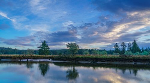 Free Peaceful landscape with trees reflecting in a tranquil lake under a vibrant sky. Stock Photo