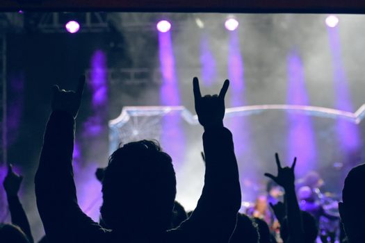 Silhouetted fans enjoying a lively rock concert with vibrant lights in Zapopan, Mexico.