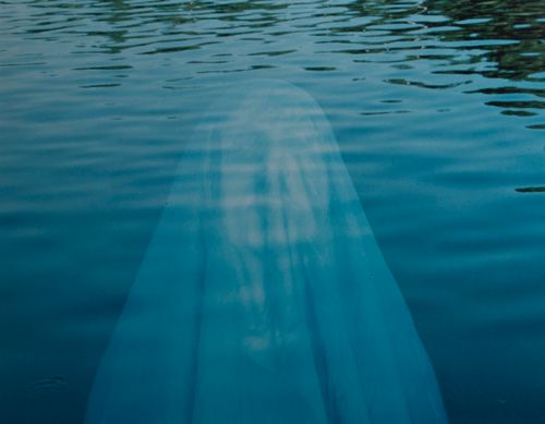Free stock photo of creepy, dark, ghost Stock Photo