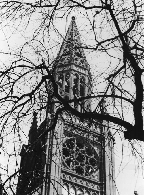 Free stock photo of church, creepy, goth like Stock Photo