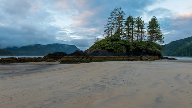 A tranquil scene of San Josef Bay's sandy beach with lush trees and distant mountains.