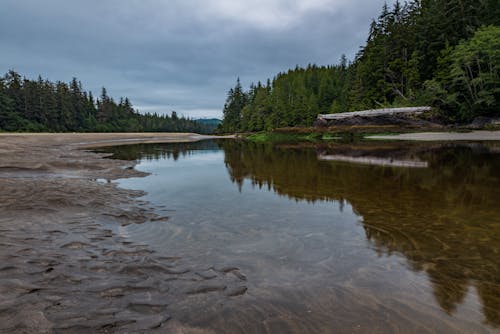 port hardy, san josef bay, 강의 무료 스톡 사진