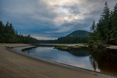 Scenic View of a Placid River