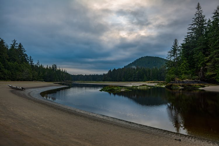 Scenic View Of A Placid River