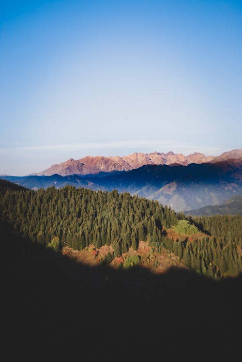 垂直拍攝, 天性, 山 的 免費圖庫相片