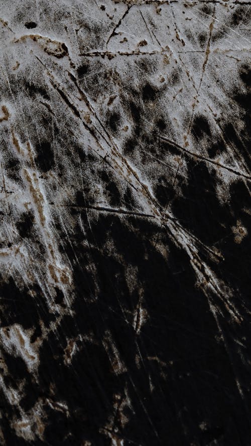 Close-up of Dark Abstract Wallpaper