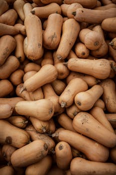 A close-up view of a pile of fresh butternut squash, showcasing the texture and natural color of the produce.