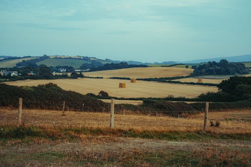 Free Photo of Hayfield During Daytime Stock Photo