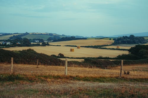 Foto profissional grátis de agricultura, campina, campo de feno