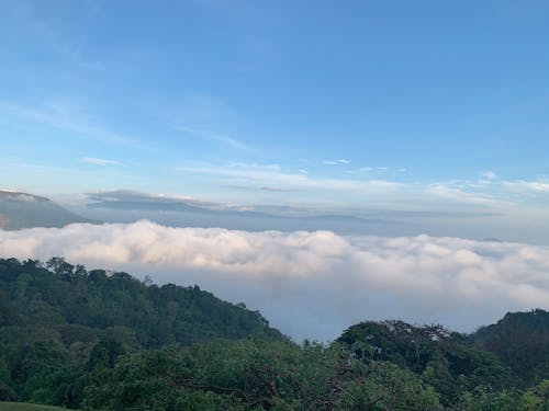 Foto profissional grátis de acima das nuvens, belas nuvens, calmo