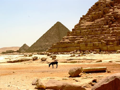 Ingyenes stockfotó Egyiptom, homok, kiszáradt témában