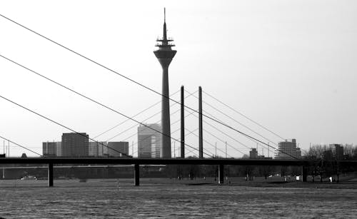 Monochrome Photo of Suspension Bridge