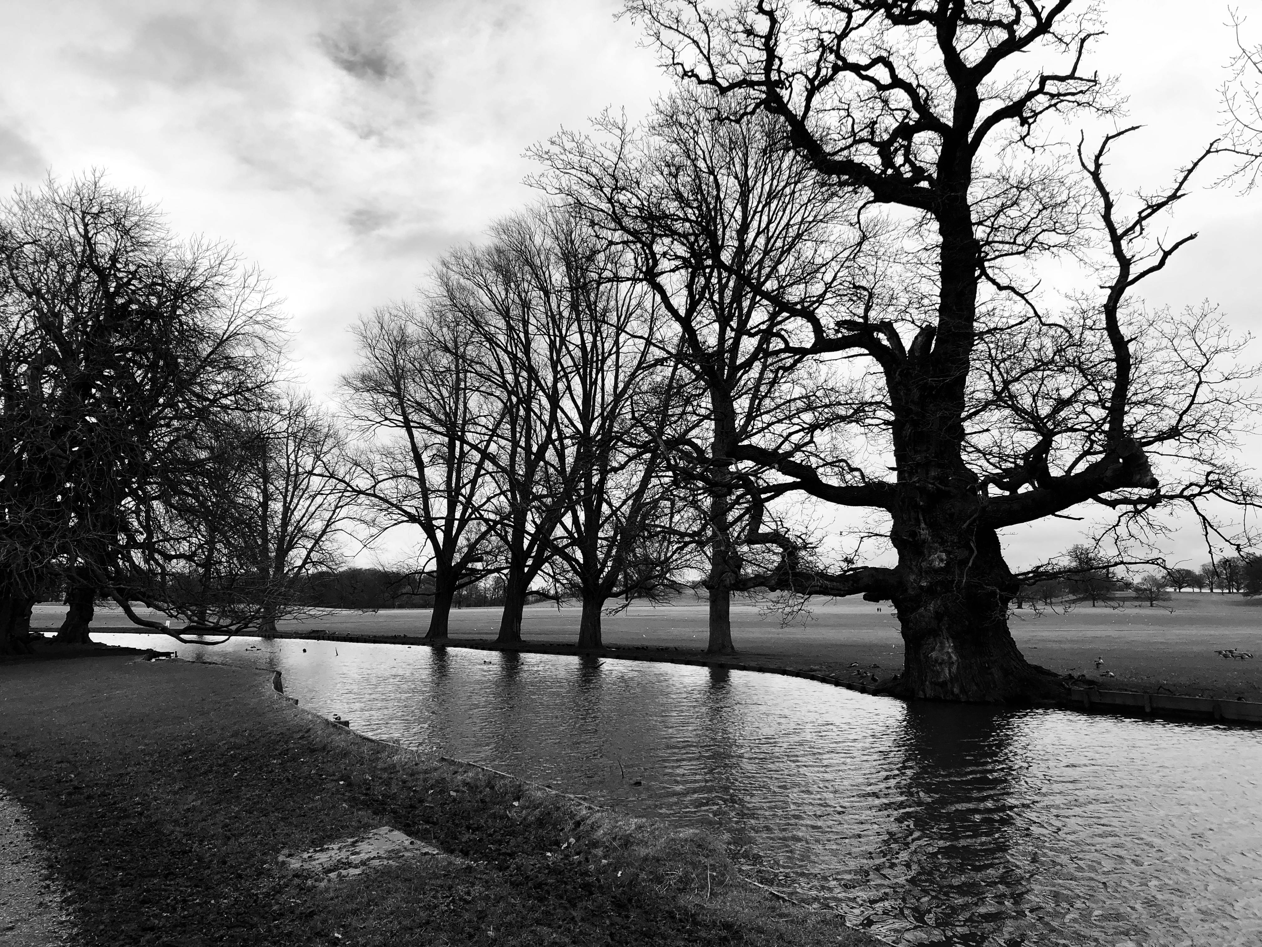 Image of a Person Using a Phone