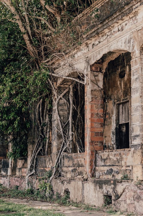 Decaying of an Abandoned Structure covered with Tree Branches