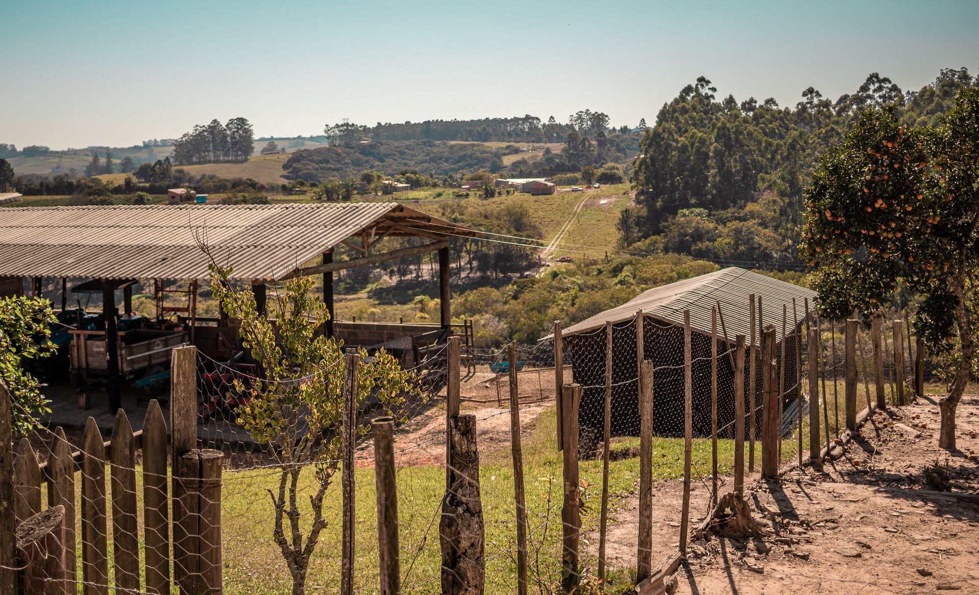 Peaceful countryside farm scene with wooden fences and rolling hills under a clear sky.