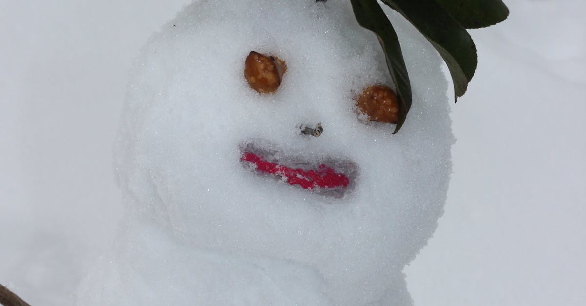 Free stock photo of snow, snowman, snowwoman