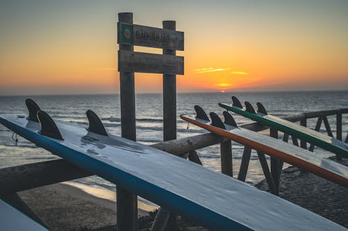Photo of Surfboards on Wooden Fence