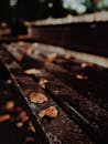 Photo of Fallen Leaves on Bench